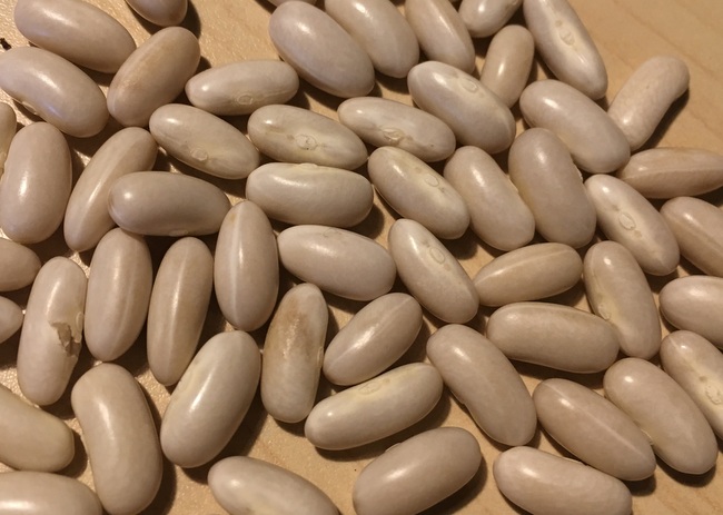 Pfalzgräfin