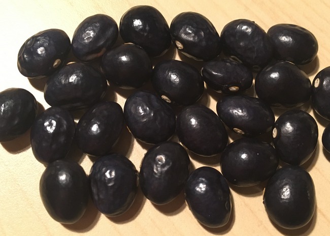 Poleschka