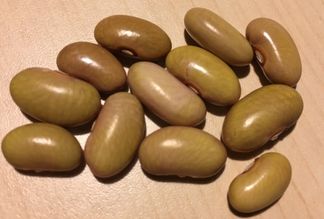 Sietske