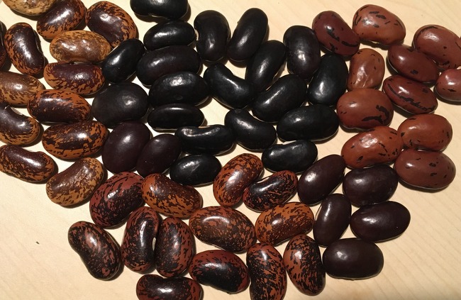 Südtiroler Feuerbohnenmix