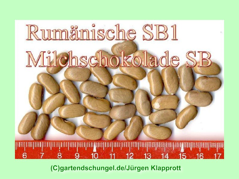 Rumänische Milchschokolade