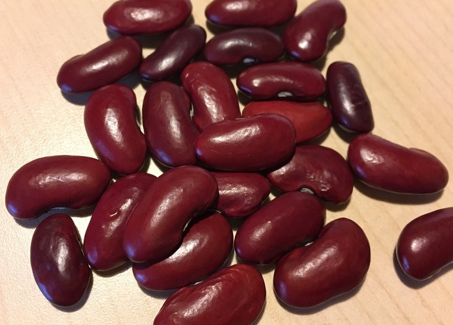 Braunrote aus Zagreb (Kidney)