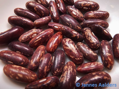 Castandel