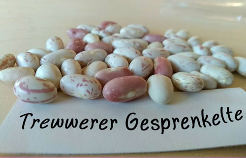 Trewwerer Gesprenkelte