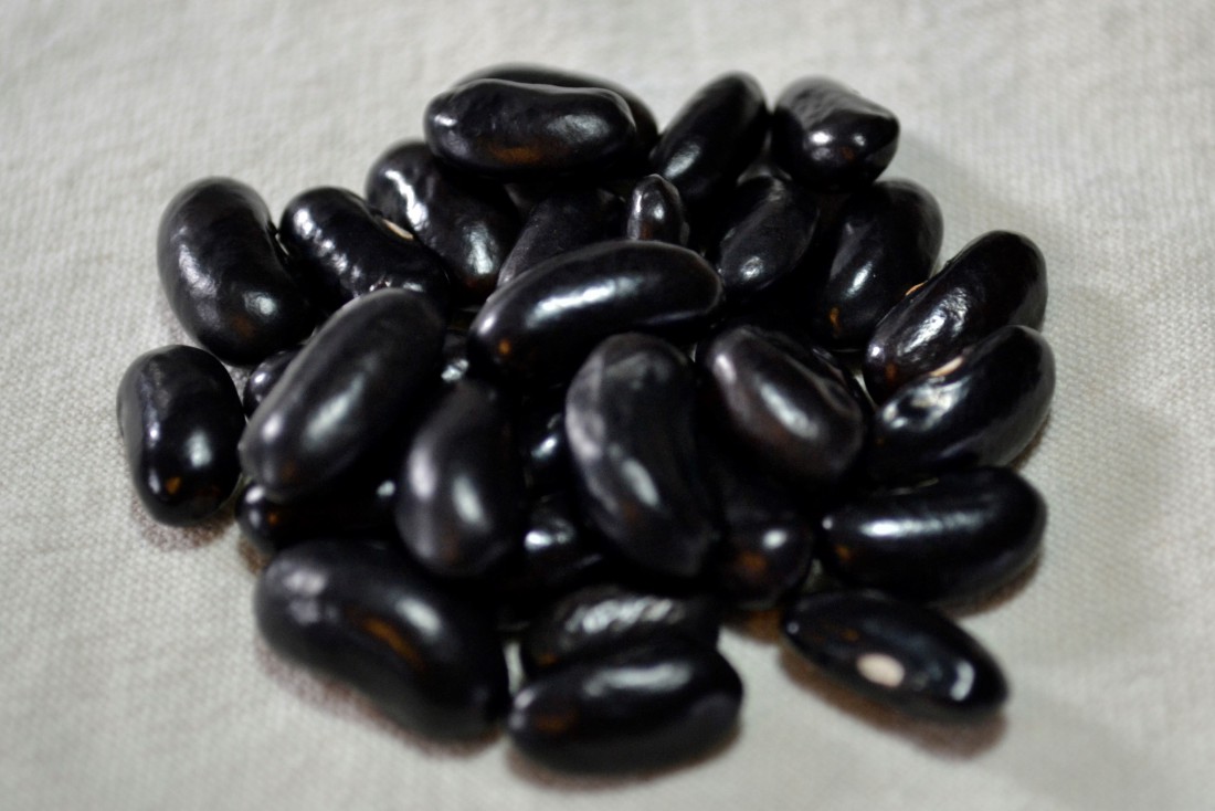 Black Cornfield