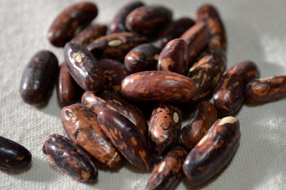 Castandel
