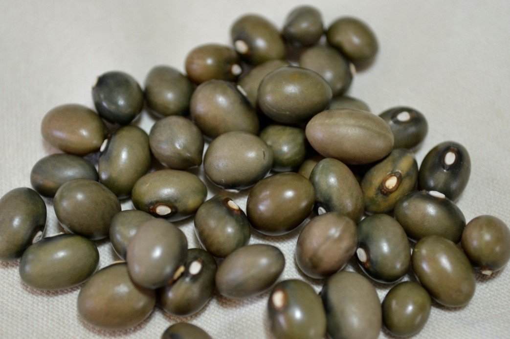 Fort Portal Jade