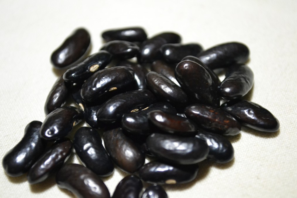 Griggs Black