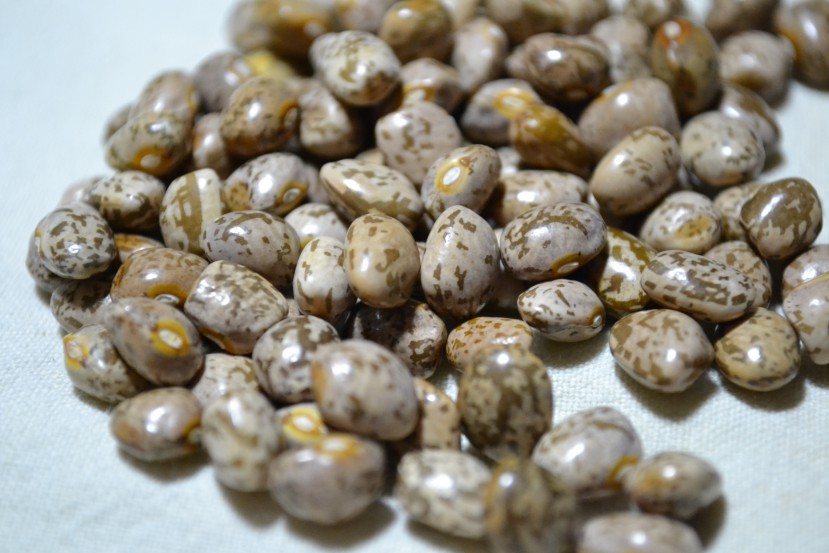 Luster Palmer Greasy Grit