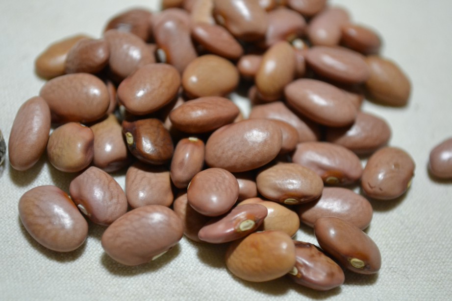 New Mexico Bolitas