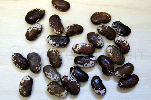 Jowa Kaffee