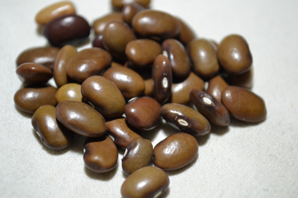 Taos Brown