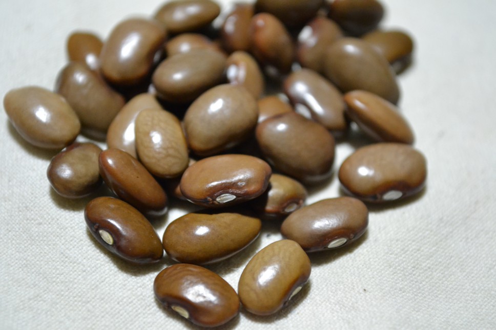 Tarahumara Cafe