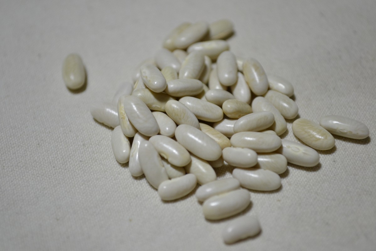 White Rice