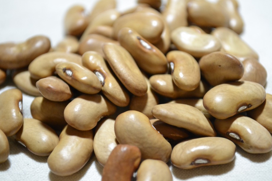 Burt's Bean