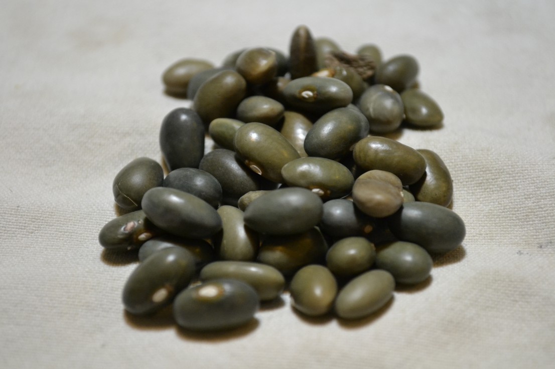 Malawi Malachite Green