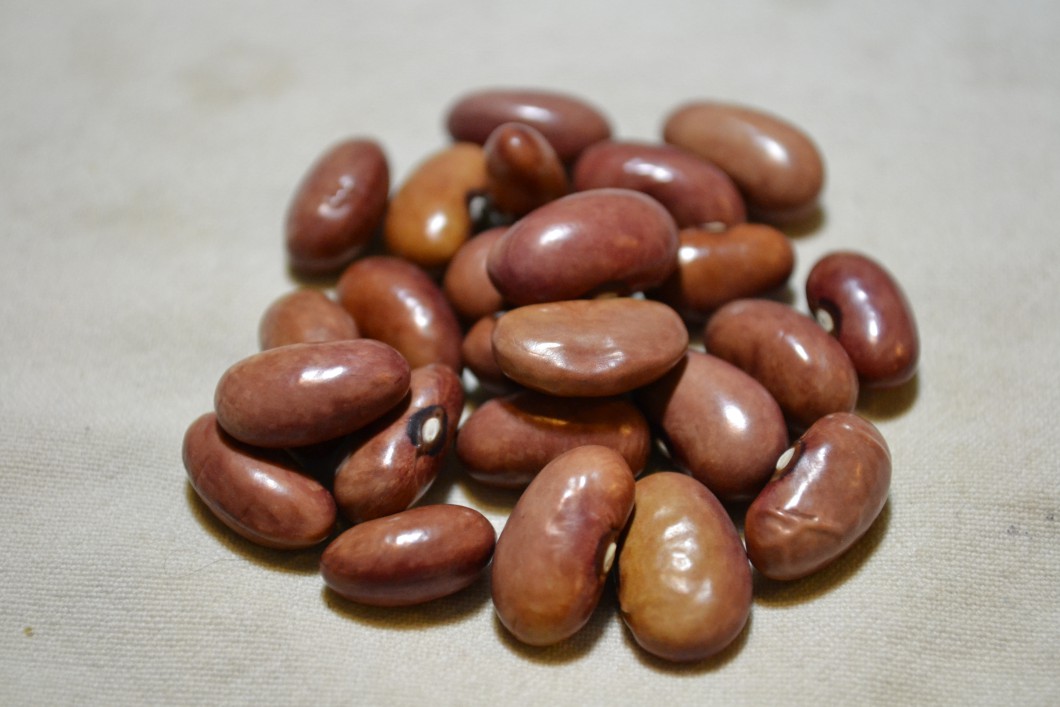 Scalzo Italian