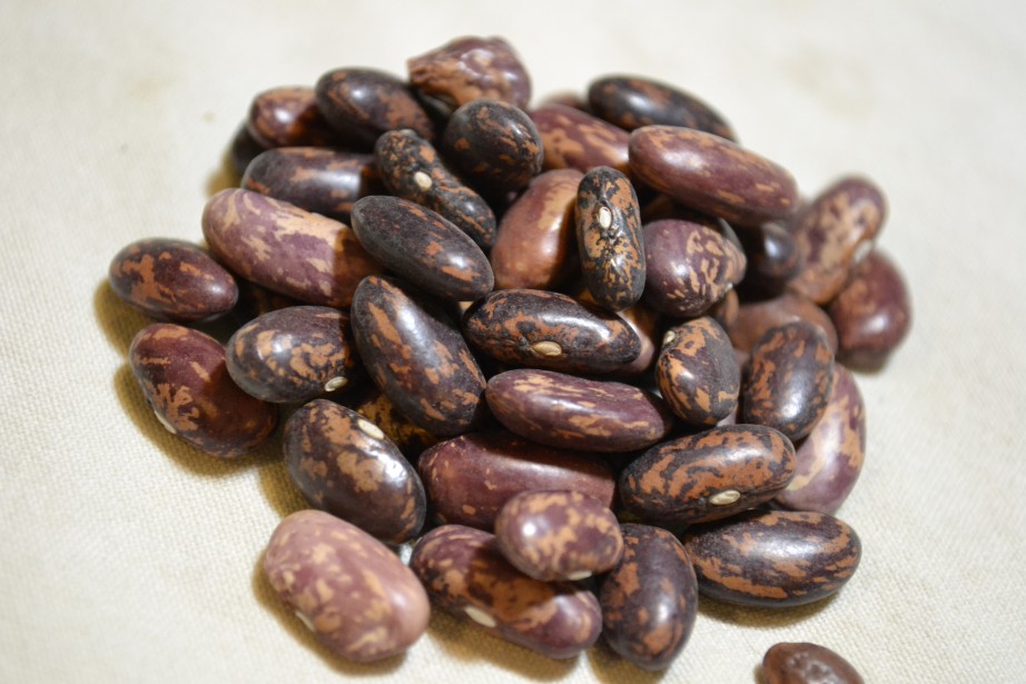 Spanish Tolosana