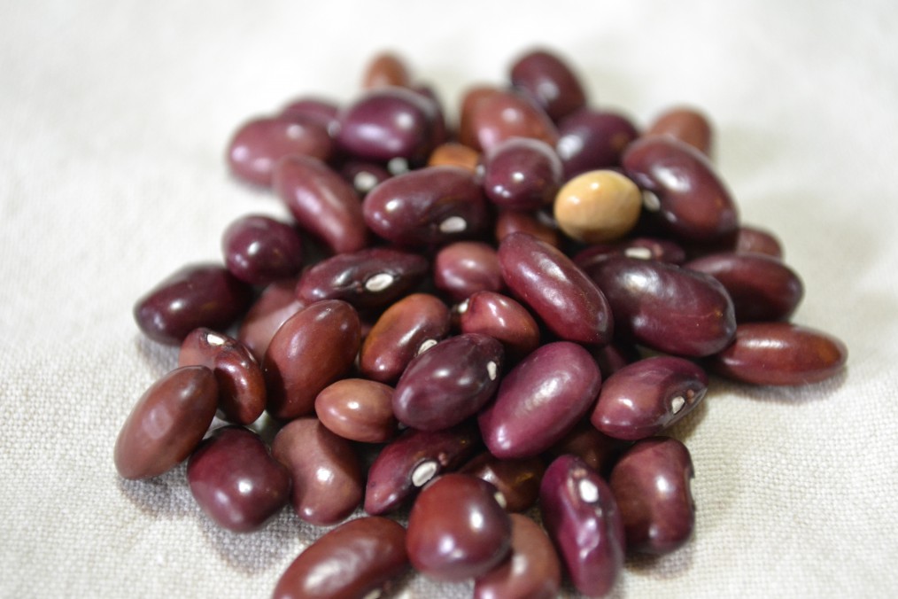 Mount Pima Plum