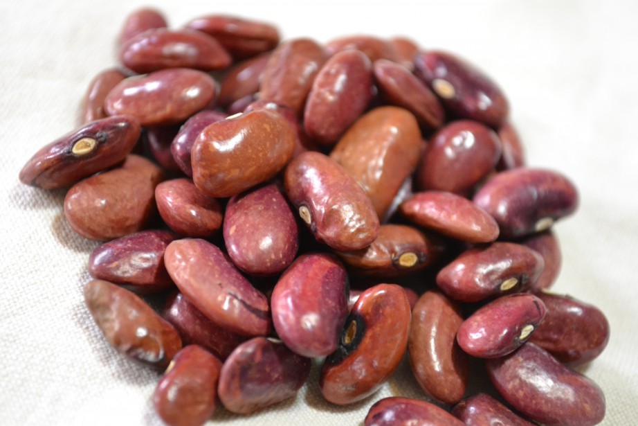 Taos Red Bean