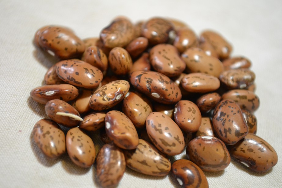 Tarahumara Mantequilla