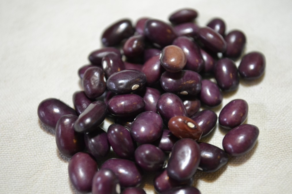 Tarahumara Sitakame