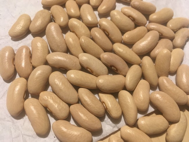 Dugonja