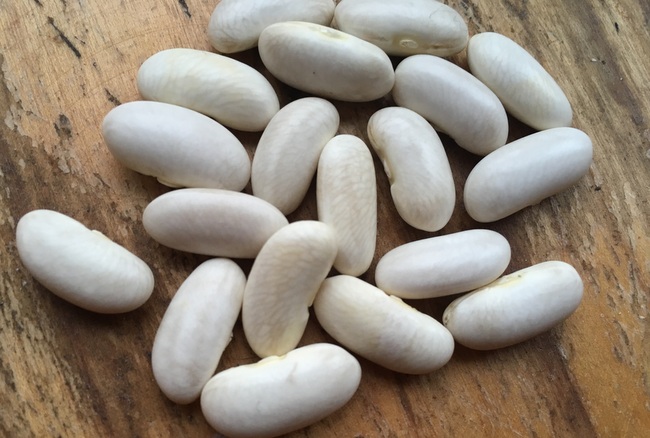 Cannellino