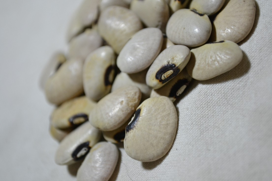 Alabama Black Eye Butter (Lima Bean)