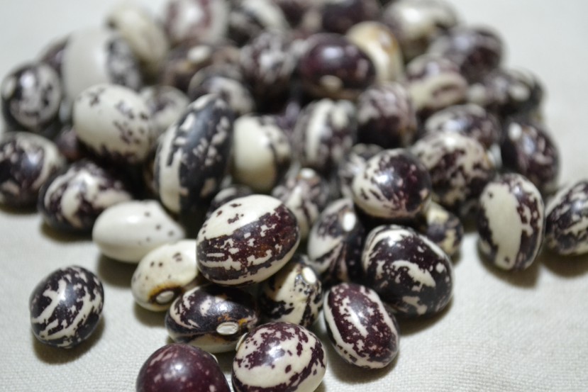Bill Wheatly Fall Bean
