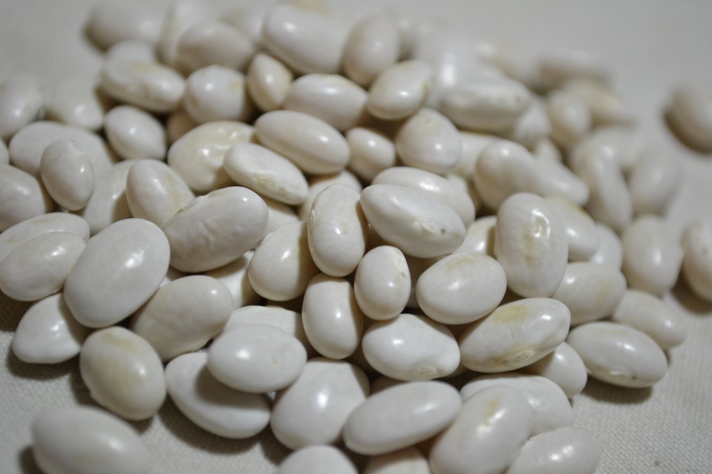 Bren Steven's Bean