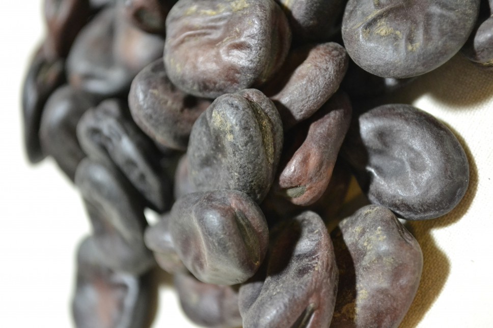 Extra Precoce A Grano Violetto