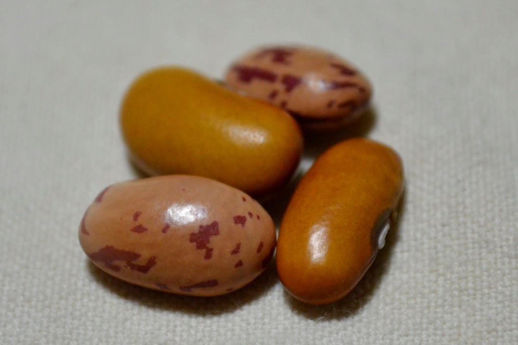 Itangaza