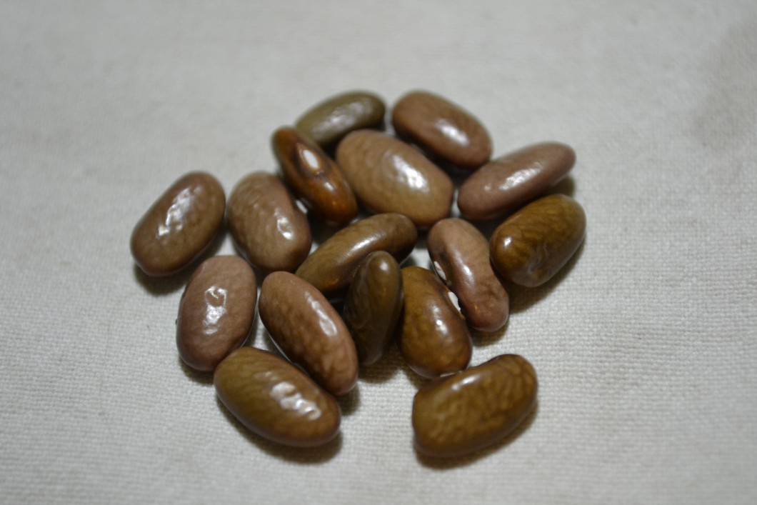 Kaulbeck's Tavern Bean