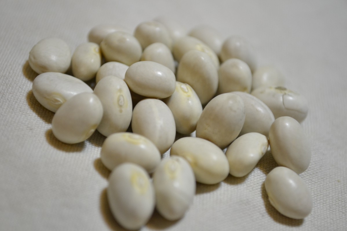 Marrowfat