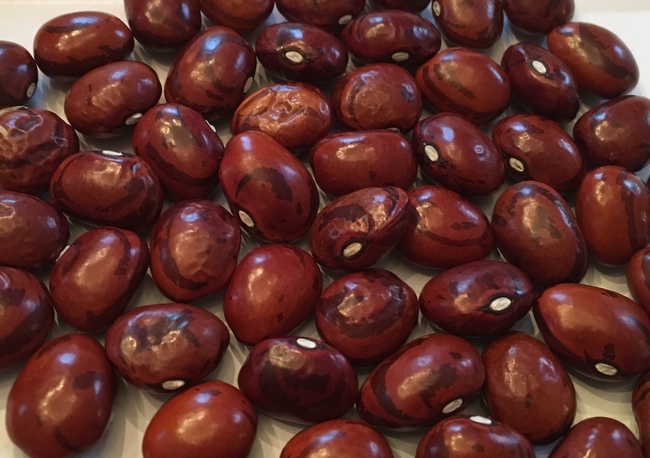 Madeira Auslese b