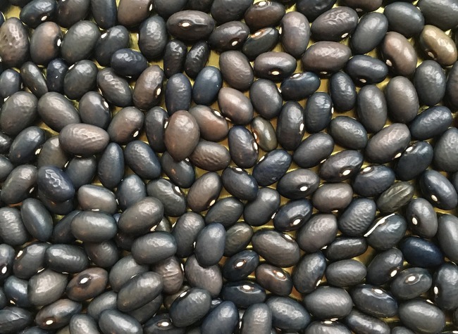 Schiefergold