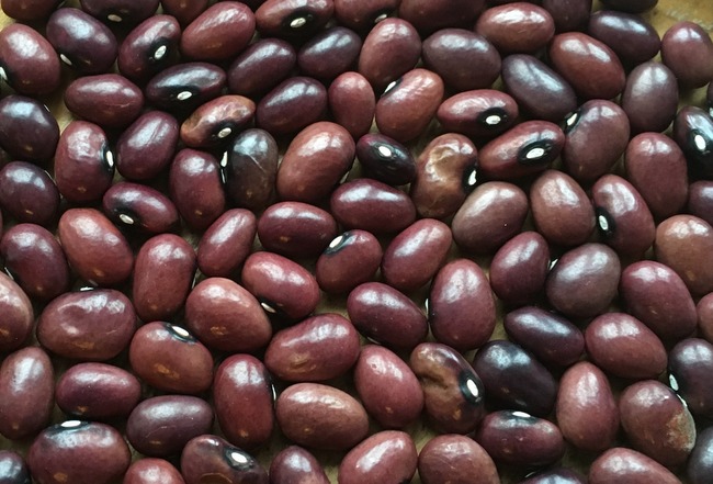 # Türkische Violette