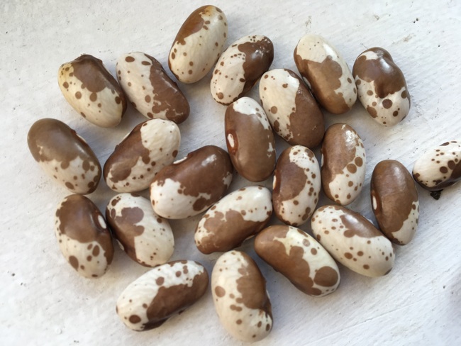 Rumänische Schokoschecke