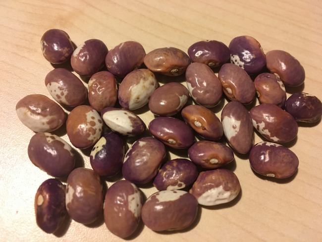 Bananeboontje #