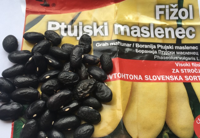 Ptujski Maslenec