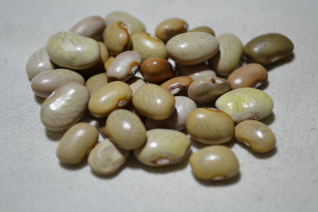 Tarahumara Azufrado