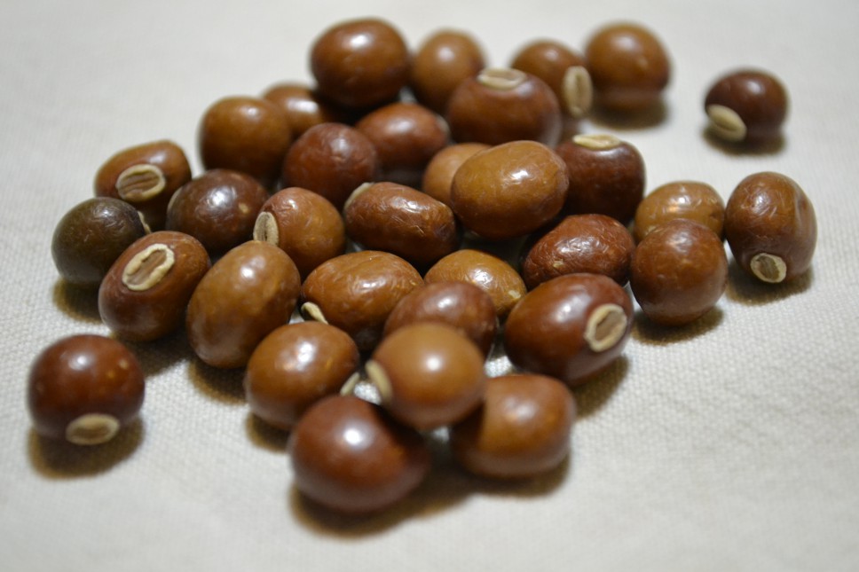Asian Winged Bean