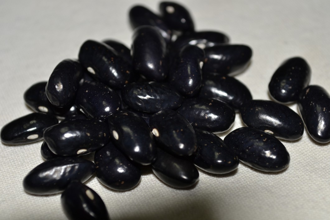 Blue Shackamaxon