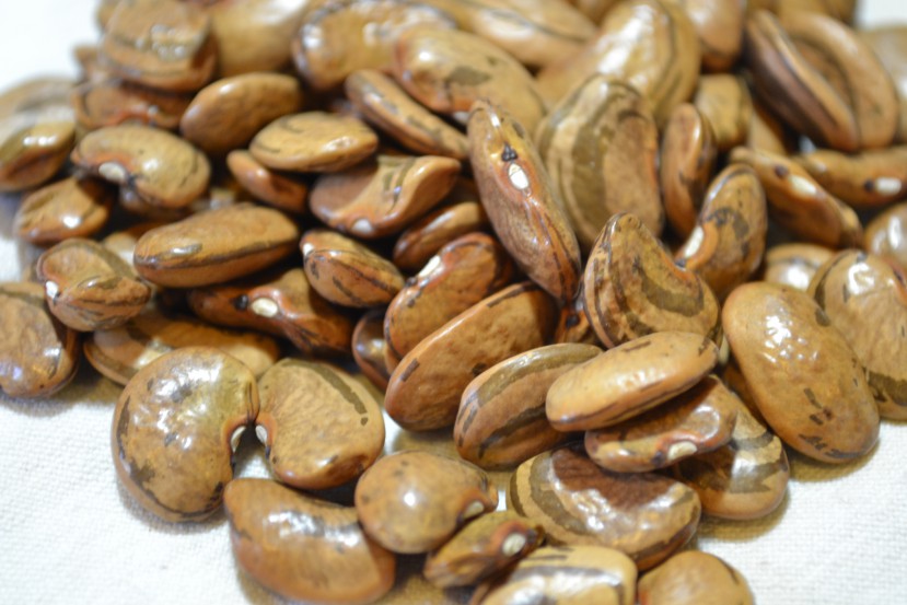 Edward's Bean