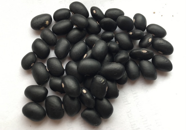 Black Coco I