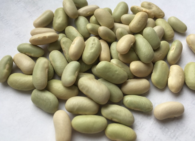 Green Flageolet