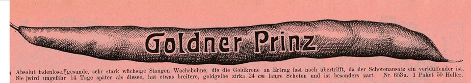 Goldener Prinz (verschollen)