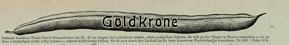 Goldkrone (verschollen)