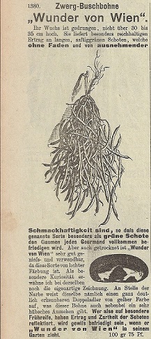 Wunder von Wien (verschollen)